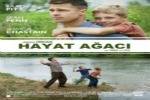 Hayat Ağacı ,Brad Pitt, Jessica Chastain, Sean Penn,The Tree of Life,Dram , Fantastik,Cannes Film Festivali,The Curious Case Of Benjamın Button,oscar